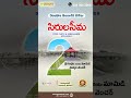 Farm Lands For Sale In Shadnagar | #realestateinvestmenttips #swargaseemasandalwoodfarms #shorts