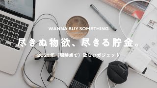 【雑談】2021年に買いたいガジェットとか