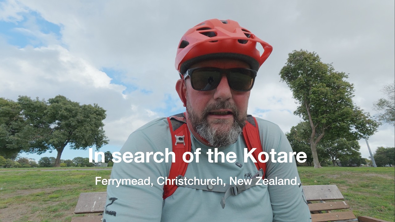 In Search of the Kotare (Sacred Kingfisher) - Osmo Action 6