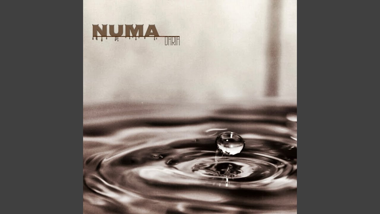 Watch NUMA on YouTube Watch NUMA on YouTube