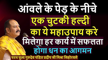 आंवले के पेड़ के नीचे एक चुटकी हल्दी का ये महाउपाय करे मिलेगा हर कार्य में सफलता होगा धन का आगमन