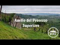 Anello del Prosecco Superiore | Valdobbiadene (TV)