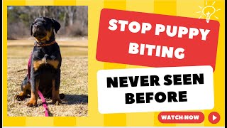 How to Stop Puppy Biting Quickly!