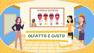 Olfatto e gusto - I 5 sensi - Anatomia per bambini