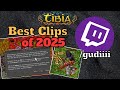 My Most Viewed Clips of 2025  [Tibia Random Moments]