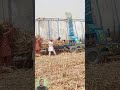 New machine for animals feed cutting and crushing system in Punjab #ytshorts #new #machine #animals