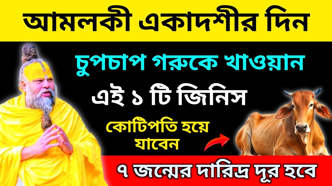 🙏আমলকী একাদশীতে চুপিচুপি গরুকে খাওয়ান এই ১টি জিনিস। ৭ জন্মের দারিদ্র দূর হবে।