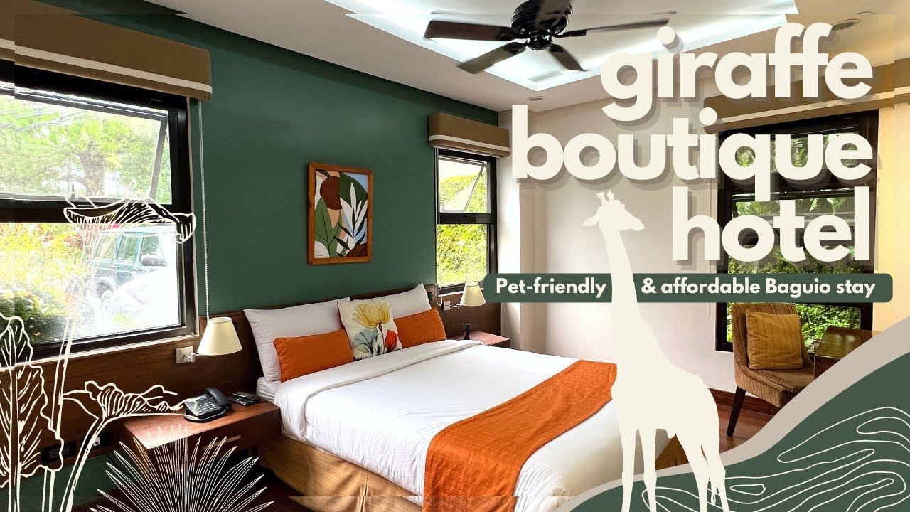 [Room tour] Giraffe Boutique Hotel Baguio petfriendly and affordable