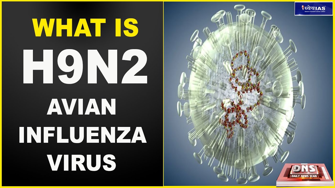 DNS: WHAT IS H9N2 AVIAN INFLUENZA VIRUS? - YouTube