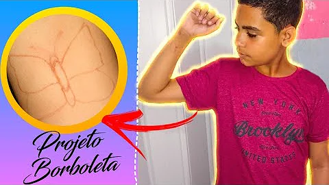 O que você entendeu sobre o projeto Borboleta?