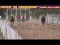 SUMAILLA en HIPICO "EL PEREGRINO" (CAMPO GALLO-SDE 12-04-26)