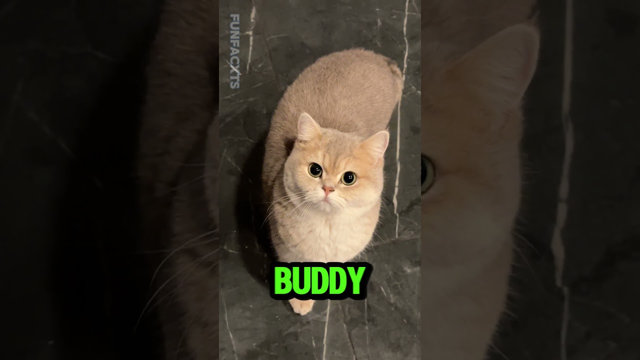 If You See This FLOATING OBJECT, Don't Go NEAR IT! 