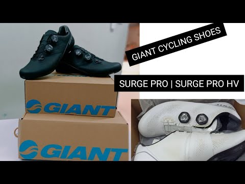 Video: Ulasan sepatu Giant Surge Pro