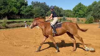 Reds Revenge schooling