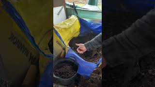 1 ton builders bag worm bin | digging out #homesteading #selfsufficiency #wormcomposting
