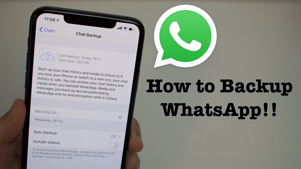 How to Backup Whatsapp on Iphone 