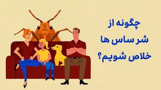 چرا خلاص شدن از شر ساس ها انقدر سخته  سمعها
