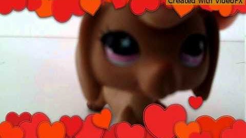 Lps shake it off Taylor Swift mep