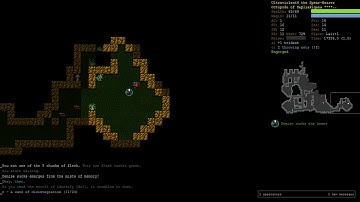 Octopode Fighter Part 3 - Dungeon Crawl Stone Soup