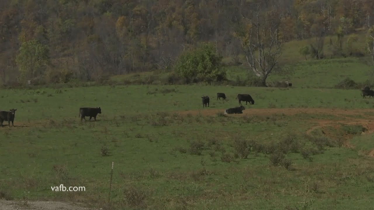 Loudoun County Development