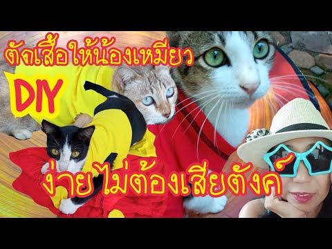 EP.215 วิธีตัดเสื้อหมาเสื้อแมว เสร็จในสองนาที ตัดเองประหยัดเงิน #DIY #ตัดเสื้อแมว ง่ายมากๆ
