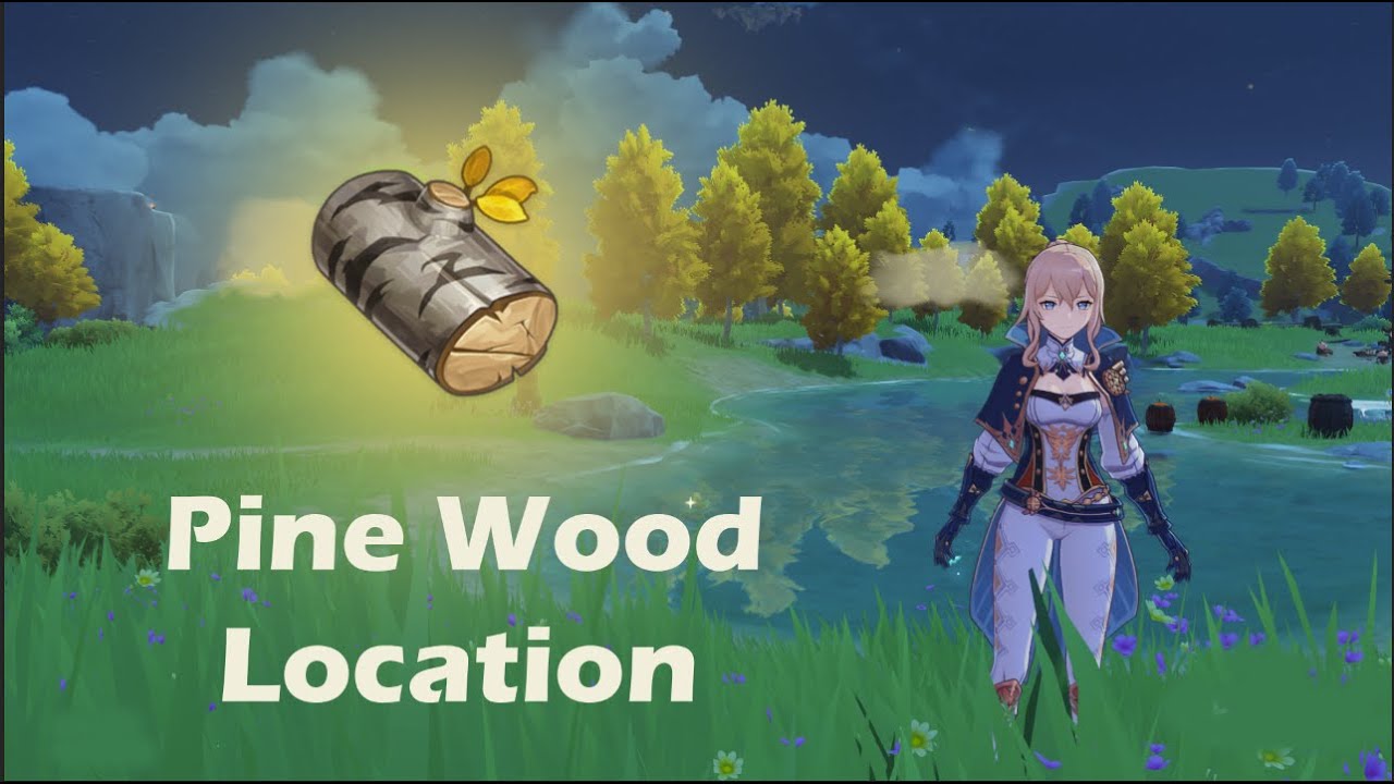 Pine Wood Location Genshin Impact YouTube