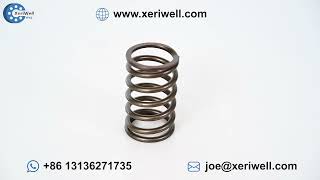 REXROTH A10VG63 Hydraulic Pump Spare Parts   Spring hydraulic motor 1000 rpm hydraulic motor 2500 rp