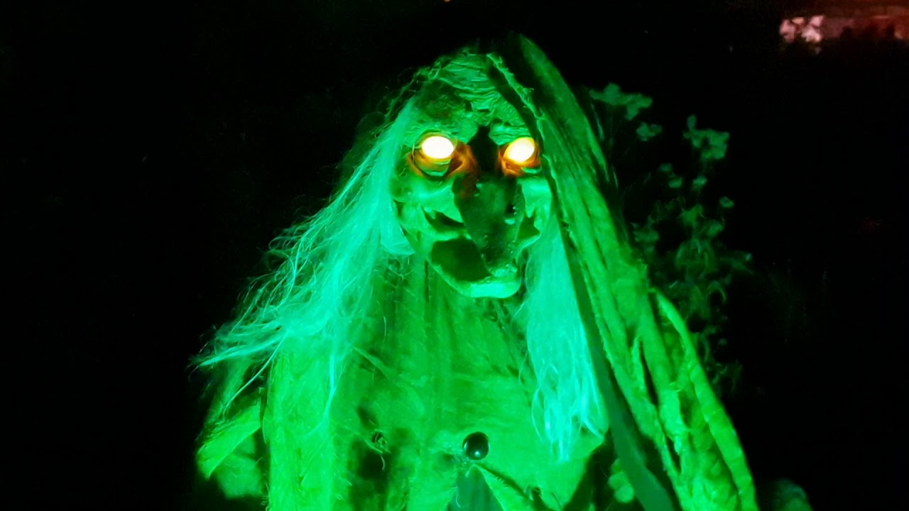 Gruselzoo 30.10.2018