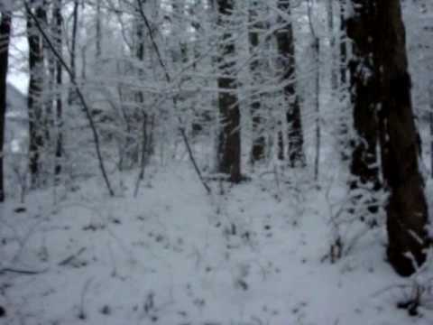 Tour of the Waterfall in My Back Yard WHEN IT SNOWS