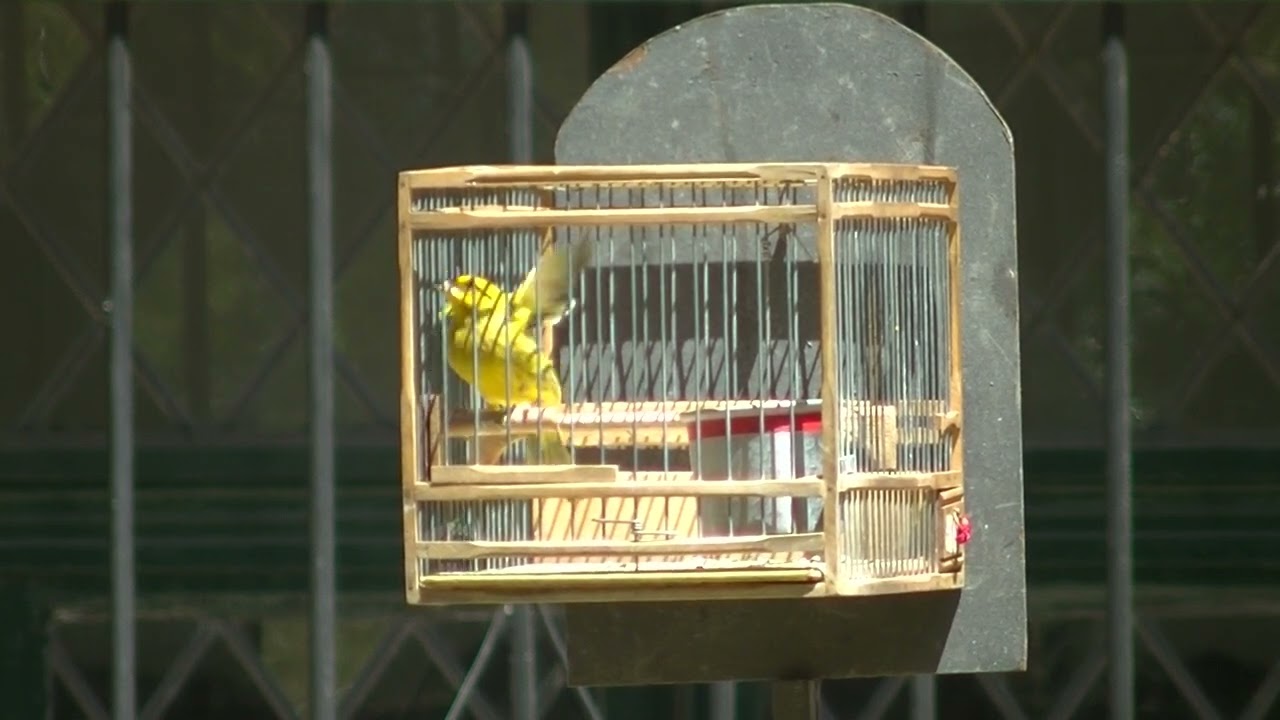 Subcampeon final de ganadores amarillo con cierre Nuevo Irupe 22-01-23