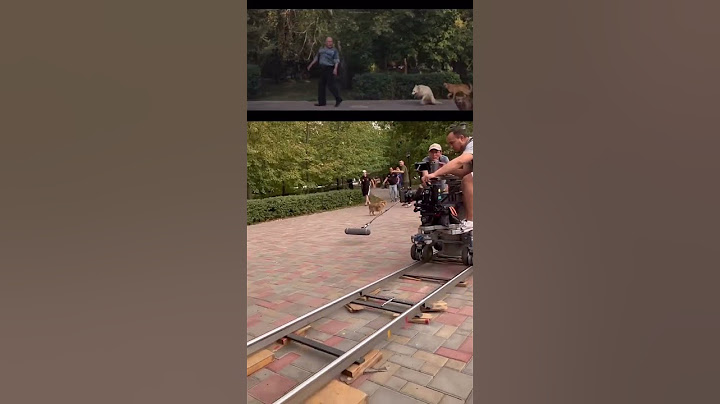 🎥“Донор” фильмі. Түсірілім алаңы…#донор #күшікқұда #квартиранты #махабаттыңөлшемідебағасыдажоқ