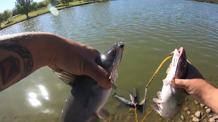 CRAZIEST Day Of CATFISHING EVER!! Fastest FULL Str...