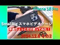 SmallRig スマホビデオケージ をちょっと使ってみた感想!/iPhone 16 Pro Vlog(2024年12月6日金曜日その2)