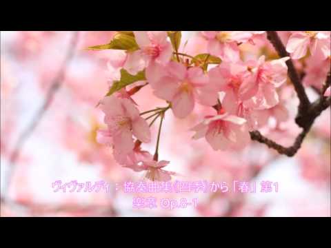 ヴィヴァルディ：協奏曲集《四季》から 「春」 第1楽章 Op 8 1