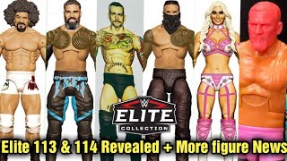 ELITE 113 + 114 LEAKED! WWE ACTION FIGURE NEWS MAY 15th, 2024