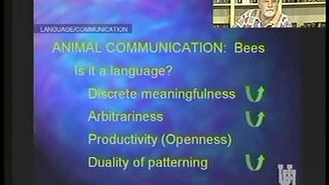 PSYC 1300 LECTURE 25