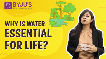 Why Is Water Essential For Life? I Class 4 I Learn With BYJU