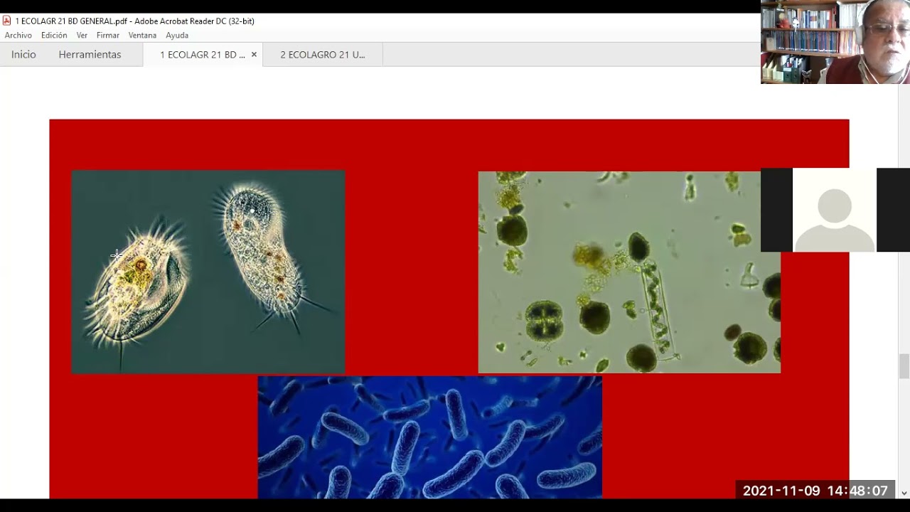 ECOLAGRO 21 CL 0911 B