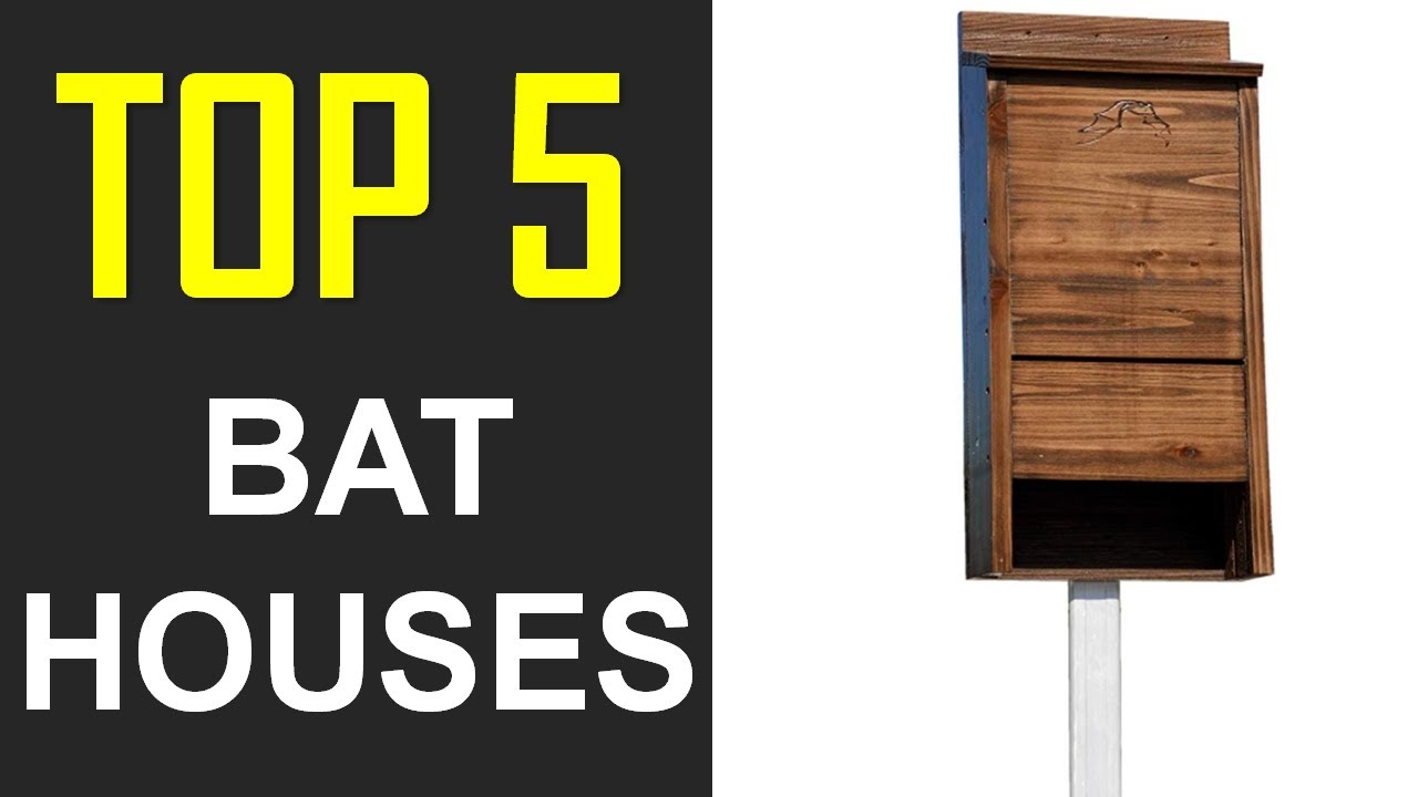 Best Bat House I Best Bat House in 2019 YouTube