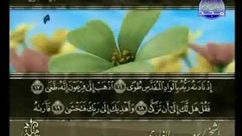 سورة النازعات من الآية 17 الى الآية 46