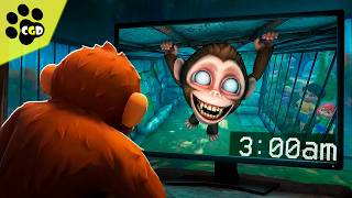 How Baby Monkey Acts When You Leave Is Scary In I Am Monkey