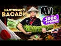 НАСТОЯЩИЙ корень Васаби / 3000 рублей за 10гр / КРАЙНЕ редкая рыба / Обзор японского ресторана Jun