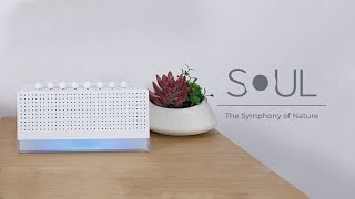 Best of Kickstarter 💡 SOUL Nature Sound Generator