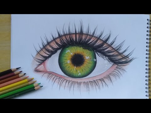 Details 151+ eye sketch color best