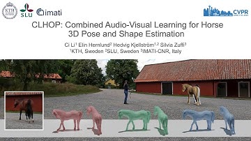 CLHOP: Combined Audio-Video Learning for Horse 3D Pose and Shape Estimation