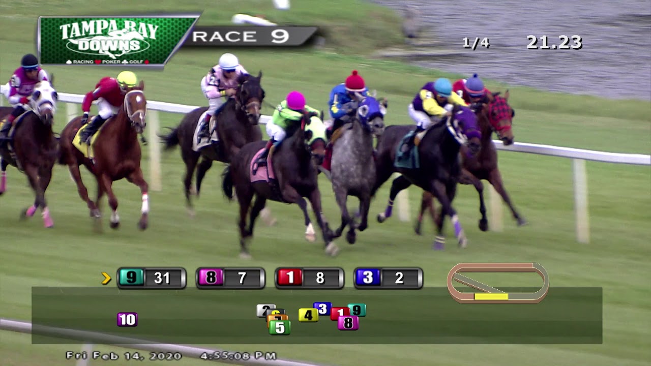 Tampa Bay Downs Replay 2/14/20 Race 9 YouTube