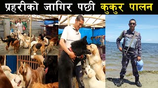 नेपाल प्रहरीको जागिर छोडेपछि कुकुर पालन,महिनामा ६० हजार सम्म आम्दानी ! - Dog farming in Nepal