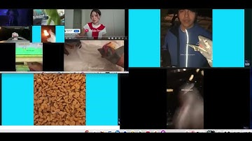 up to faster 10 parison to shark puppet