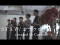 【アカペラ】STAY / コブクロ (covered by Cafuné)