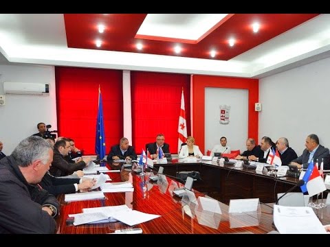 22.02.2017 რუსთავის საკრებულომ მორიგი რიგგარეშე სხდომა გამართა